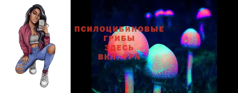 закладка  shop наркотические препараты  Псилоцибиновые грибы Psilocybe  Нытва  MEGA вход 